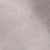 501205 - SILVER